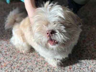 Hello my name is Remy