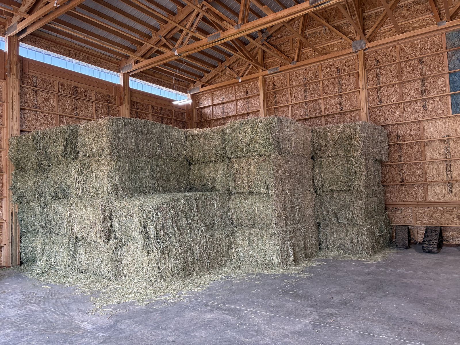 Oat Hay