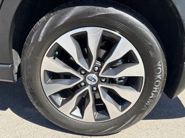 Main image 19