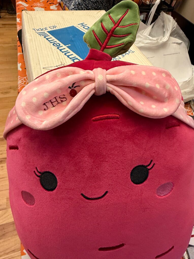 Jhs Beet Squishmallow Brand New