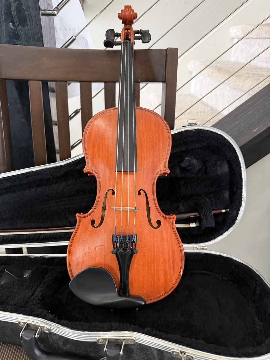 Viola