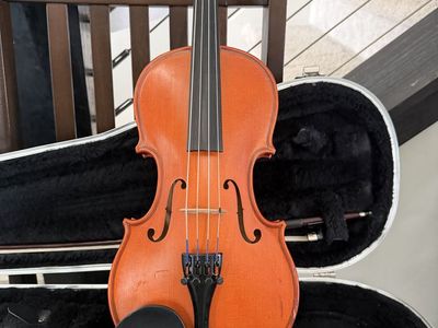 Viola