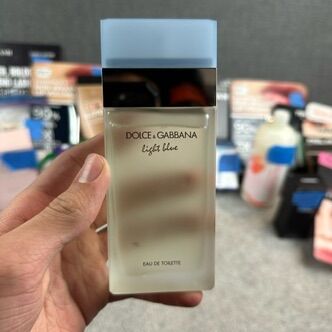 Dolce Gabbana Light Blue Eau de Toilette Women's Perfume 3.4 oz / 100 ml