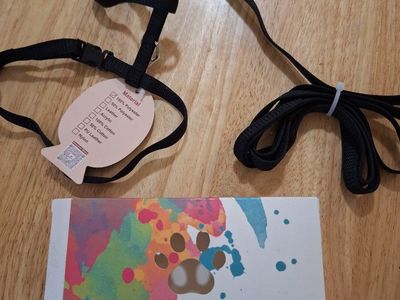 Black Polyester Pet Harness & Leash Set for Small Animals