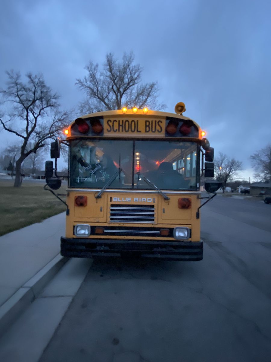 School Bus for Sale