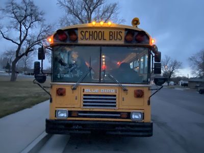 School Bus for Sale