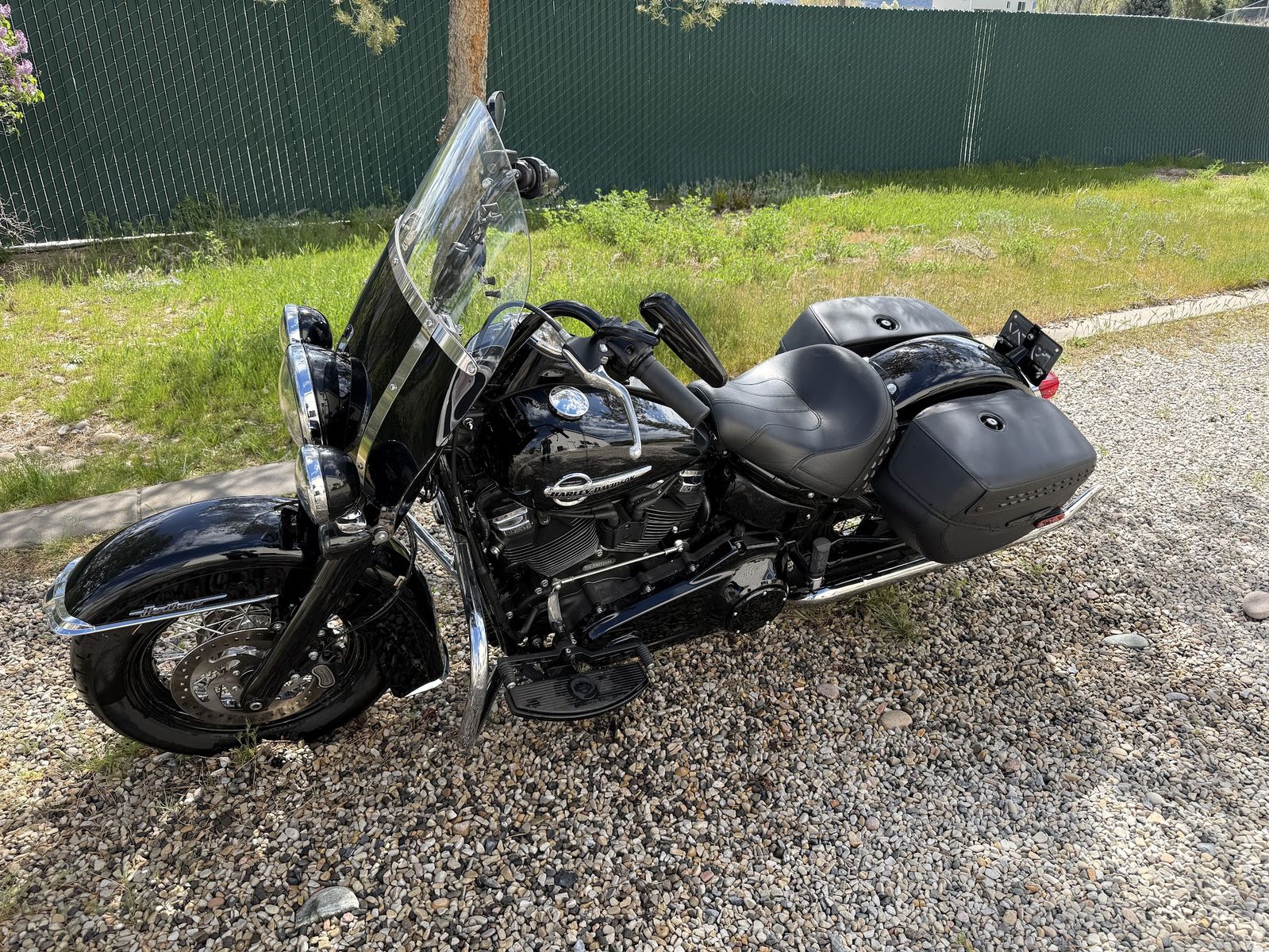 2019 Harley Davidson Softtail Classic