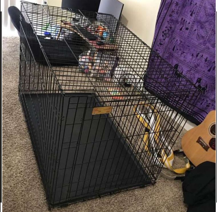 Extra Large Black Wire Dog Crate -  kennel
