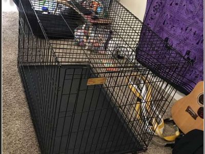 Extra Large Black Wire Dog Crate - kennel