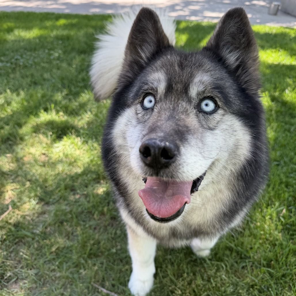Hello my name is Bella