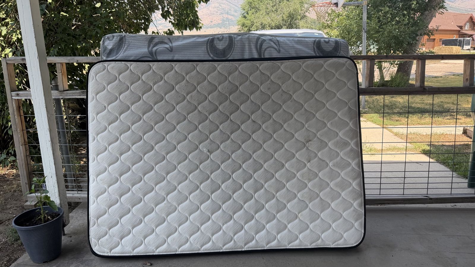 Free mattresses