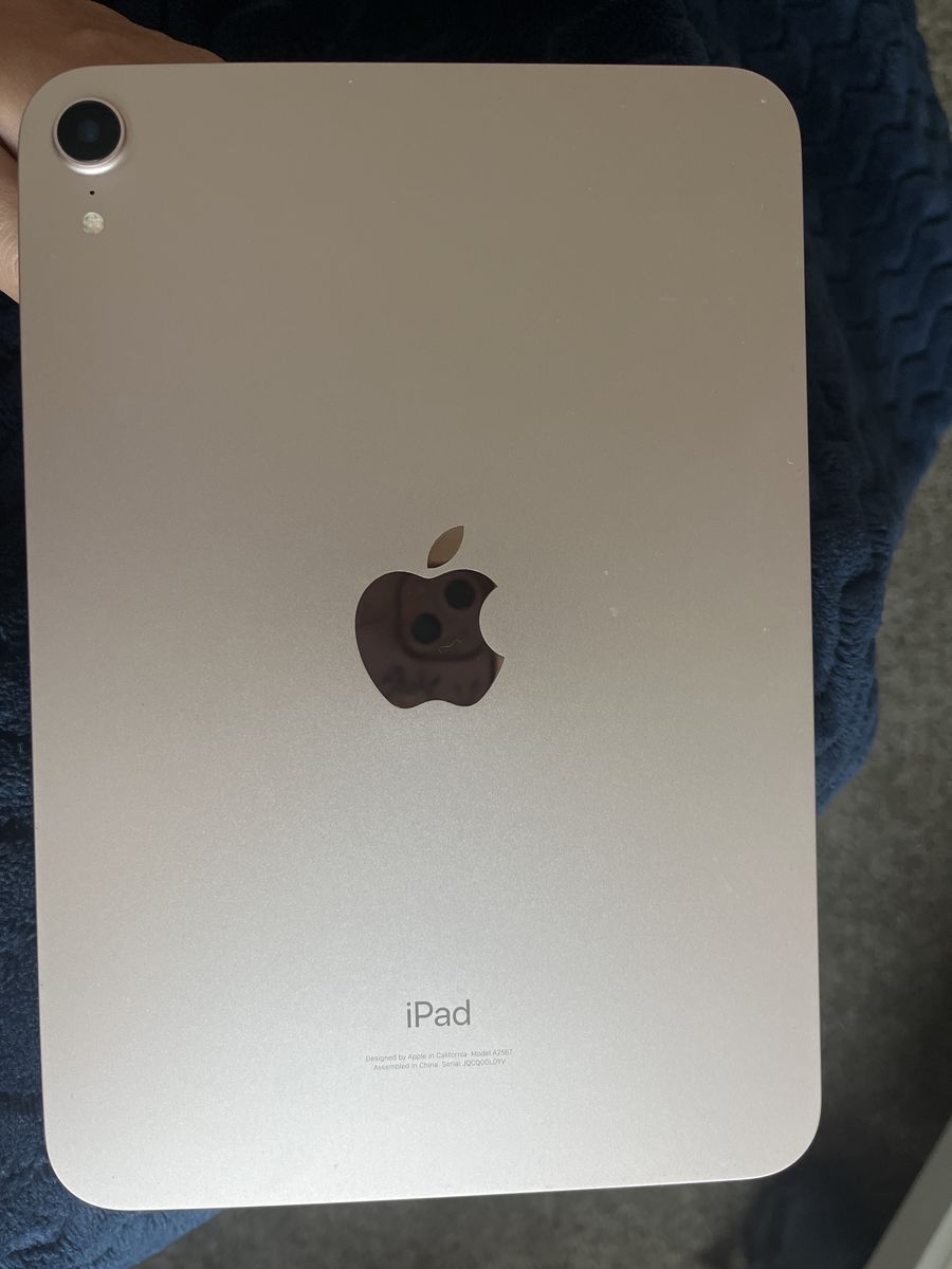Pink iPad mini (6th generation) 64 GB