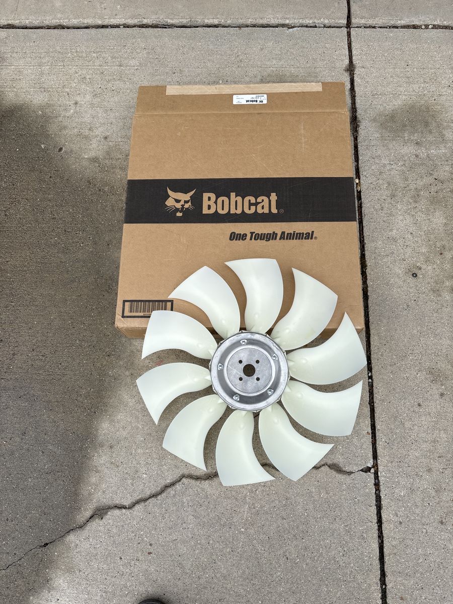 Bobcat Fan