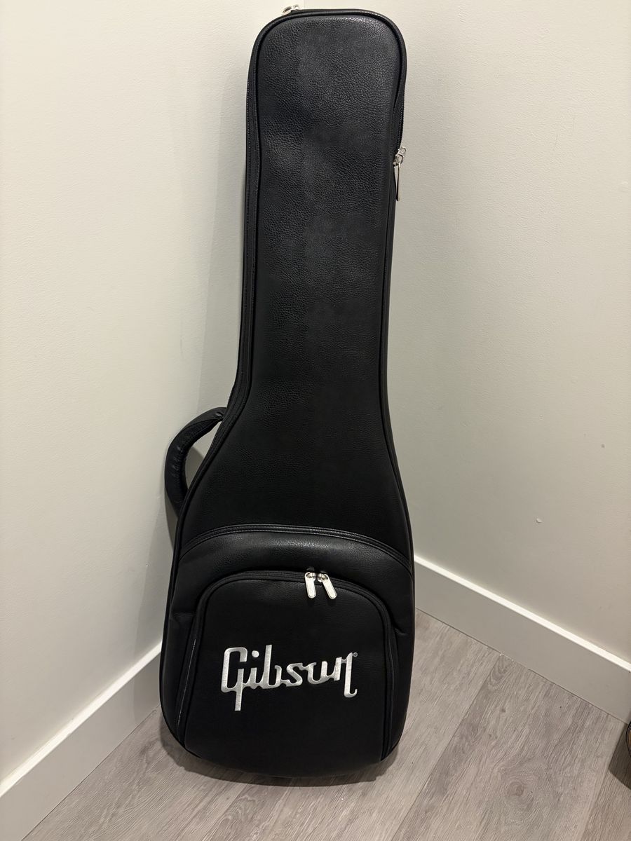 Guitar Gig Bag