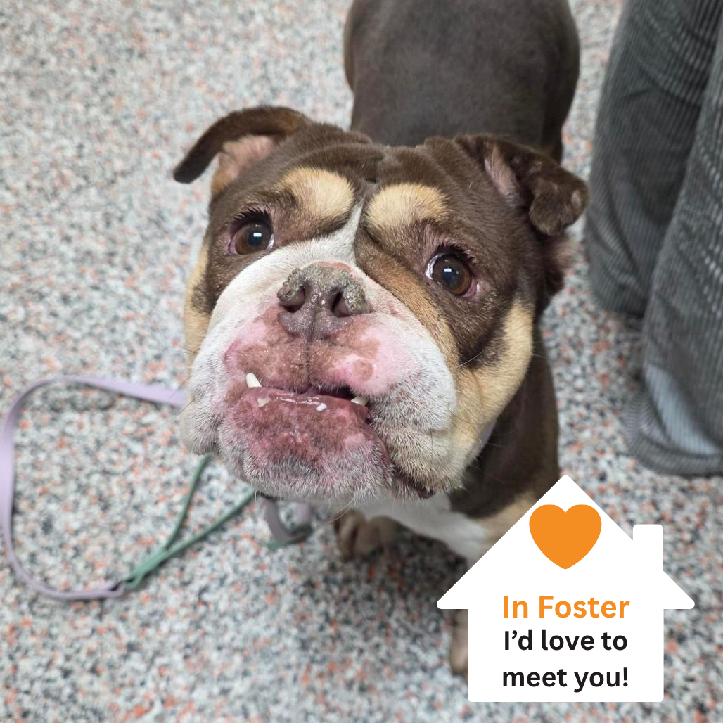 Hello my name is Rhonda