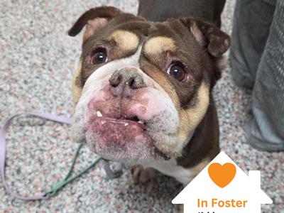 Hello my name is Rhonda