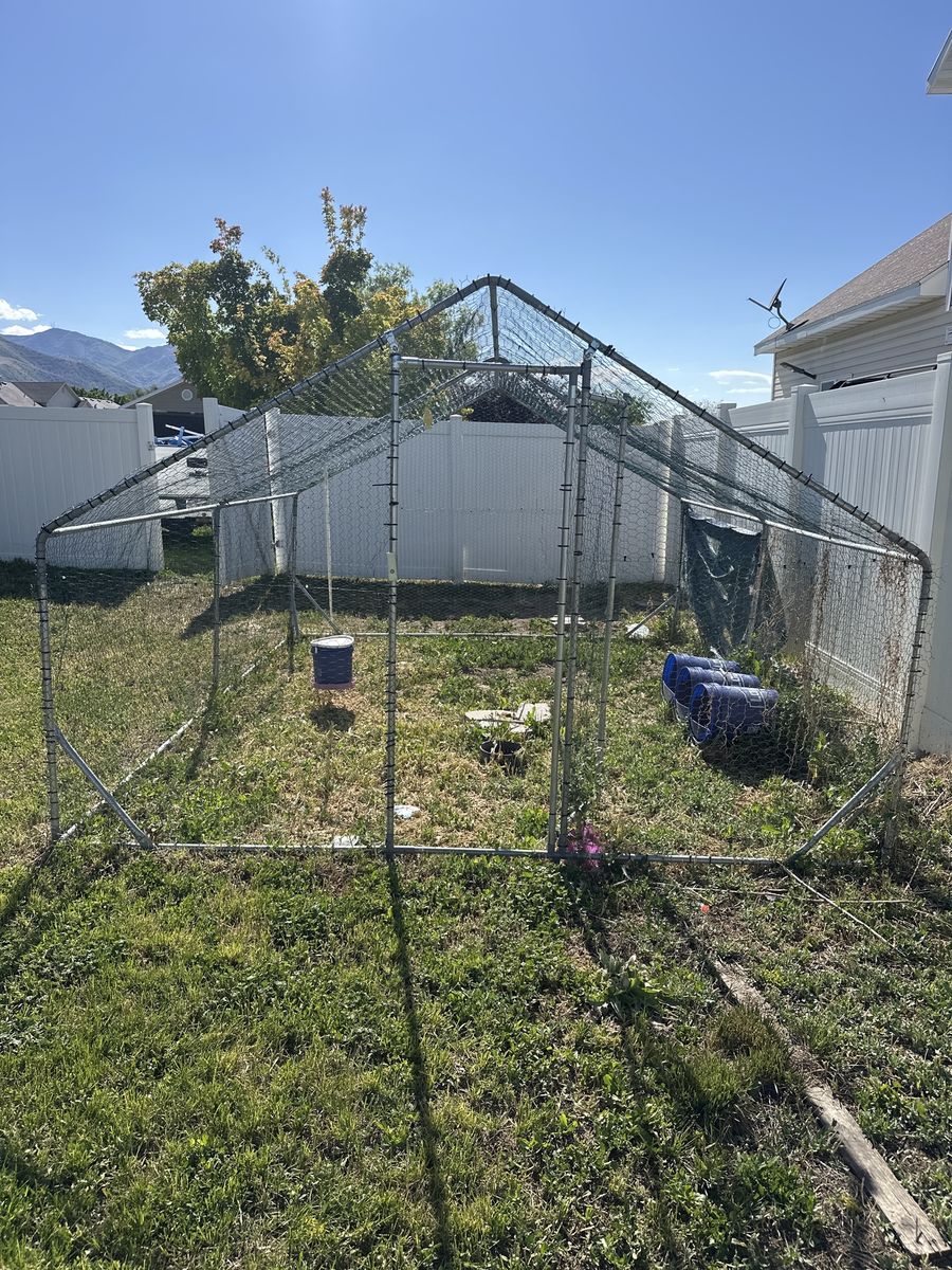 Main image 2