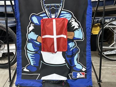 Baseball pitching target