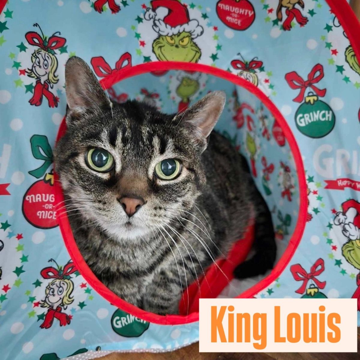 King Louis