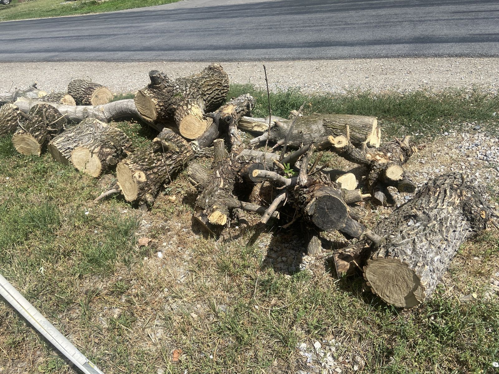 Logs