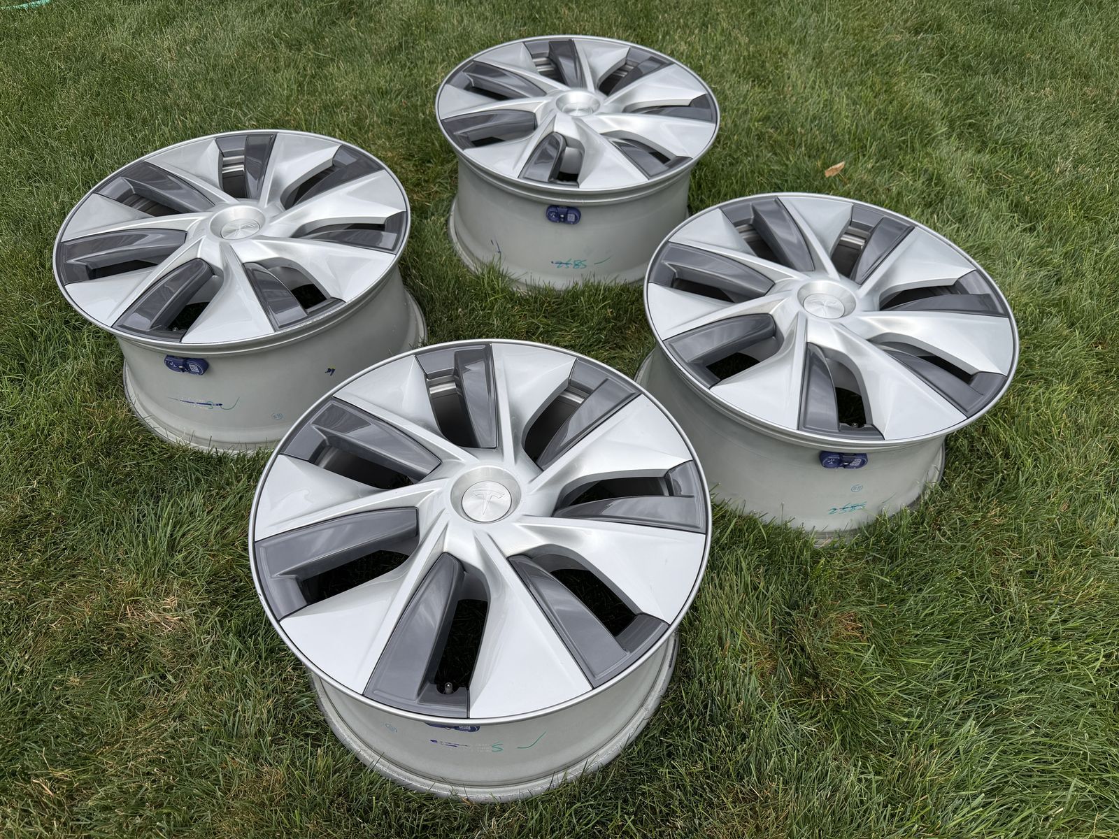 Tesla 19” Gemini wheels and hubcaps, including tpms