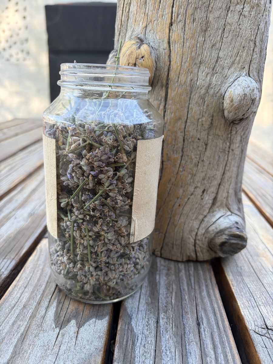 Dried Lavender Flowers, Bulk, Aromatic, Craft & Home Decor Use