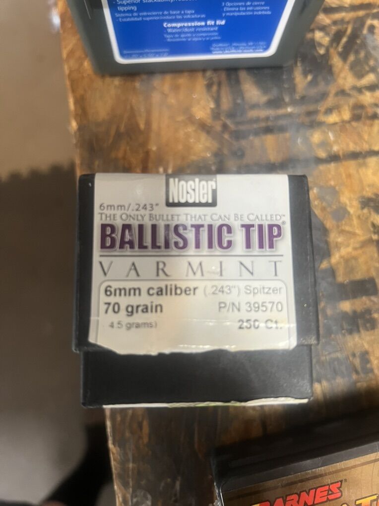 6mm 70 Grain Nosler BallIstic Tips
