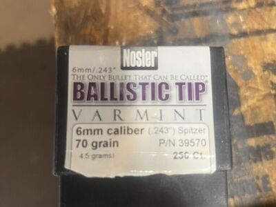 6mm 70 Grain Nosler BallIstic Tips