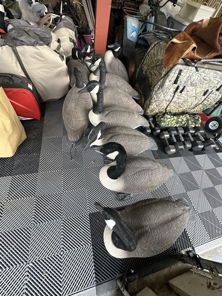 Bigfoot goose decoys