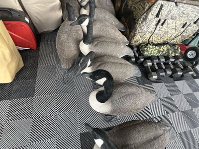 Bigfoot goose decoys