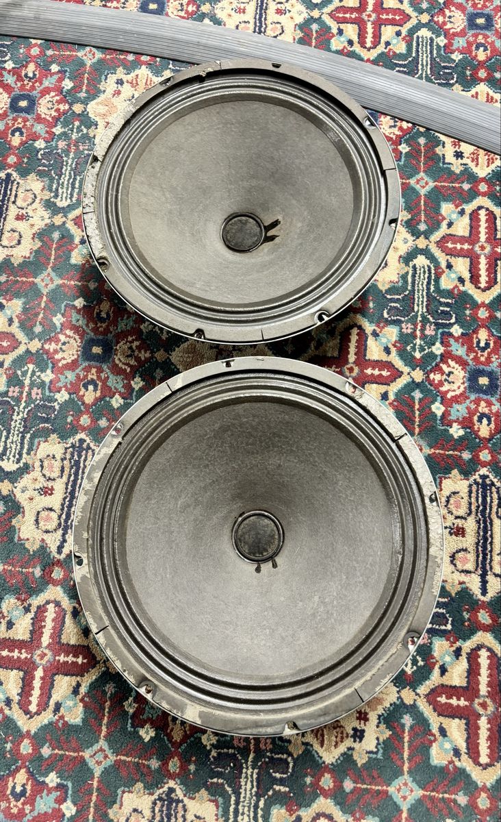 Vintage 15” Traynor RSC guitar or bass speakers