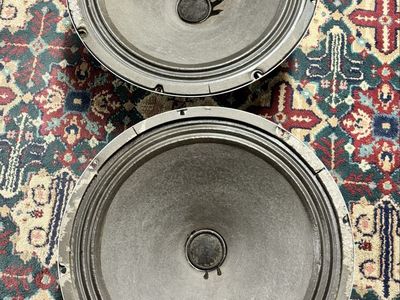 Vintage 15” Traynor RSC guitar or bass speakers