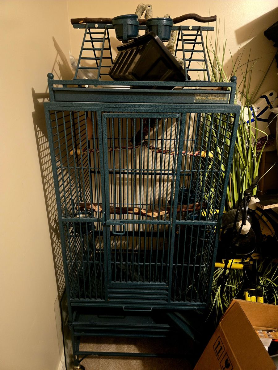 Avian Adventures Large Playtop Bird Cage Blue Metal