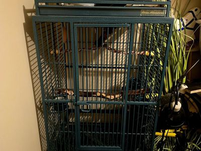 Avian Adventures Large Playtop Bird Cage Blue Metal