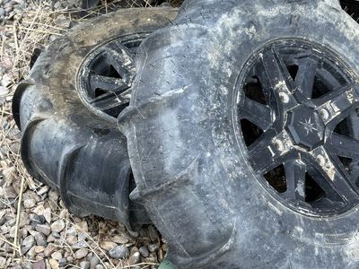 Rzr paddle tires