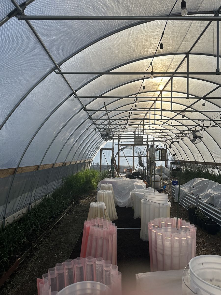 Hoophouse NCRS approved.