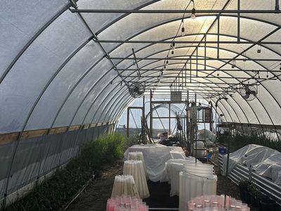 Hoophouse NCRS approved.
