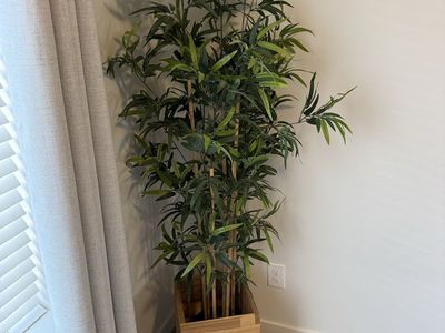 Large Faux Bamboo Plant + Wood Planter