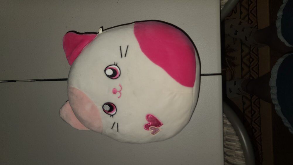 Cat Squishmallow