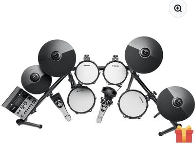 New Donner DED300X Electric Kit