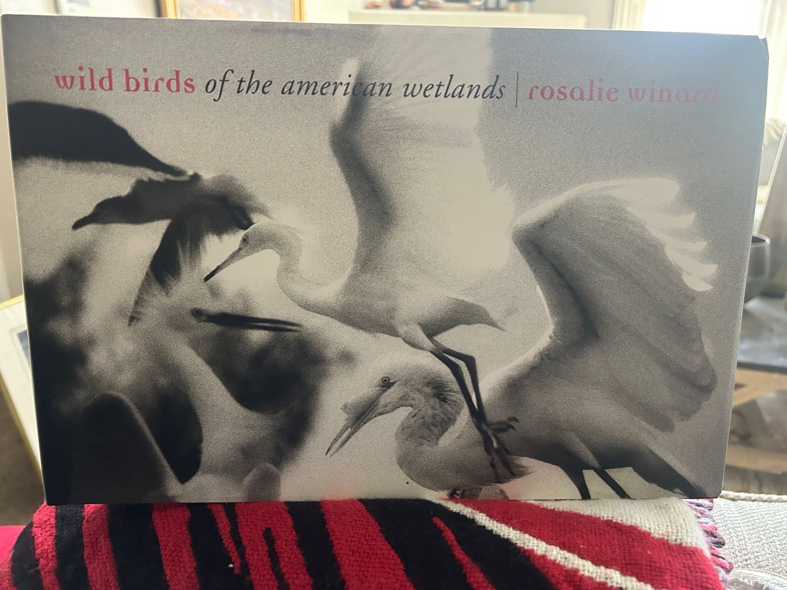 WILD BIRDS OF THE AMERICAN WETLANDS BY ROSOLIE WINARD 2008 1ST EDITION SIGNED