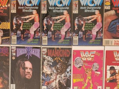 Lot of 10 Wwf Wwe Wcw Pro Wrestling Comic books