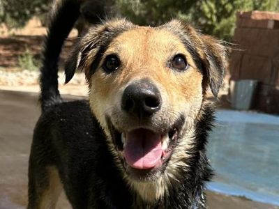 Hello my name is Rainbow