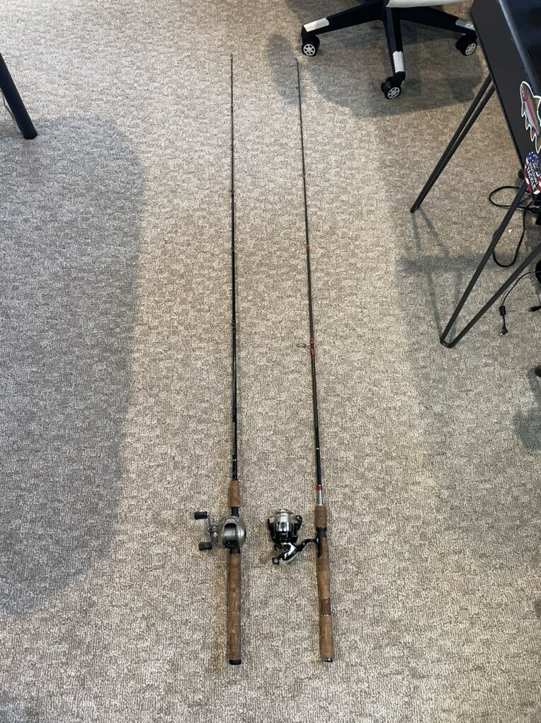 Baitcaster And Spinning Rod