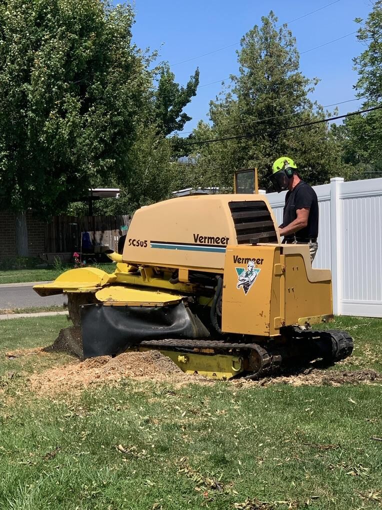 Bright Star Tree Service