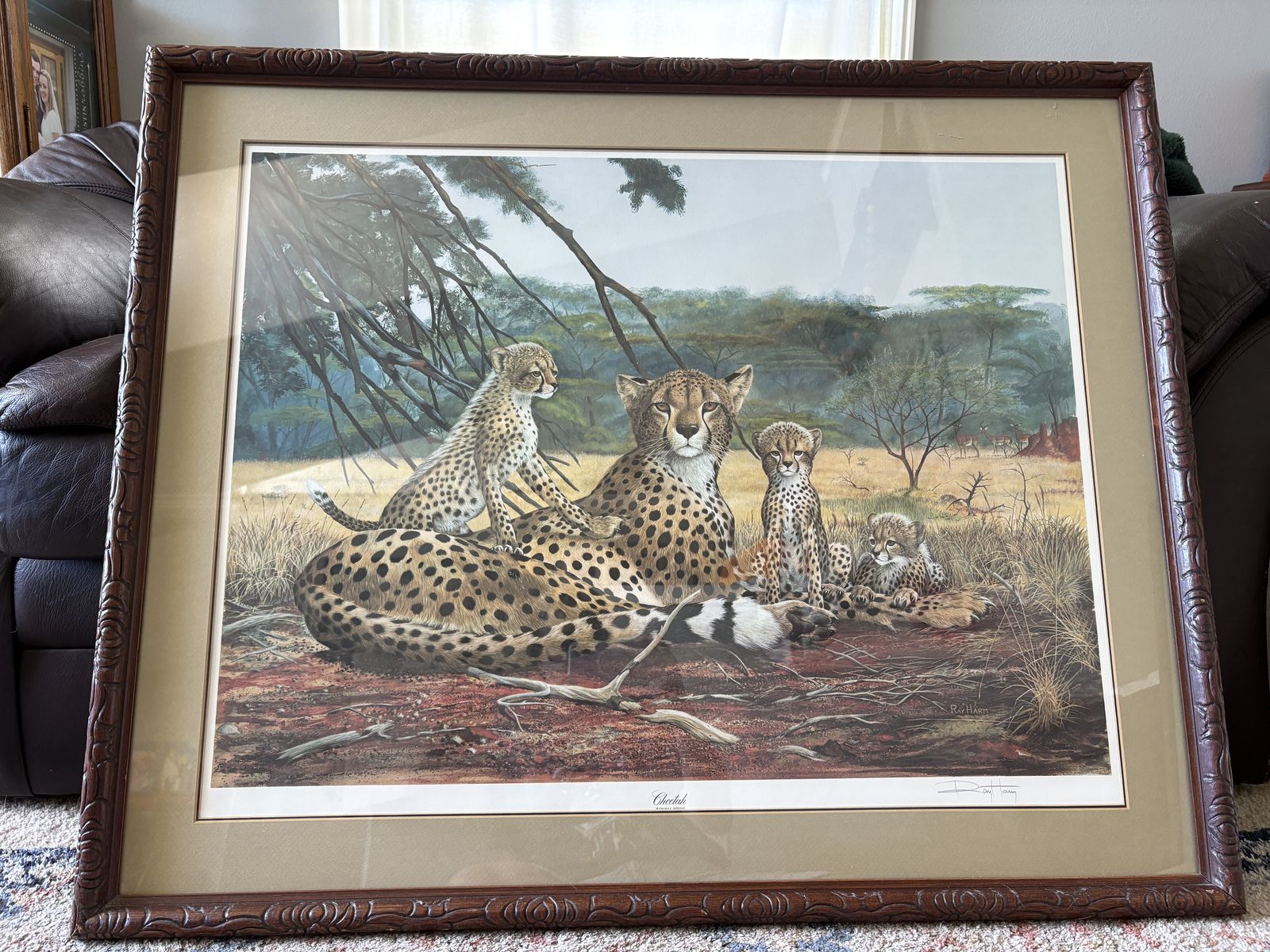 Framed Cheetah Print by Ray Harm