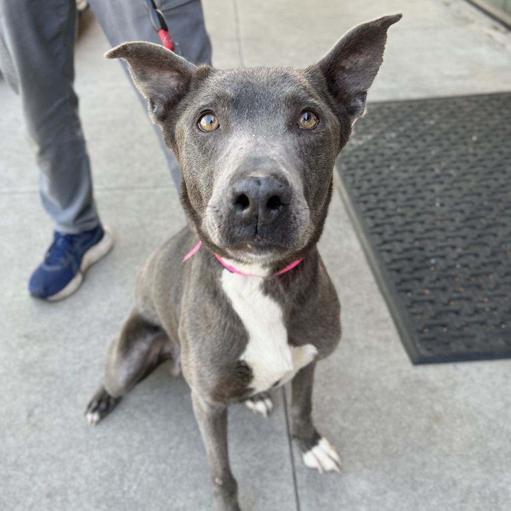 Hello my name is Kiara