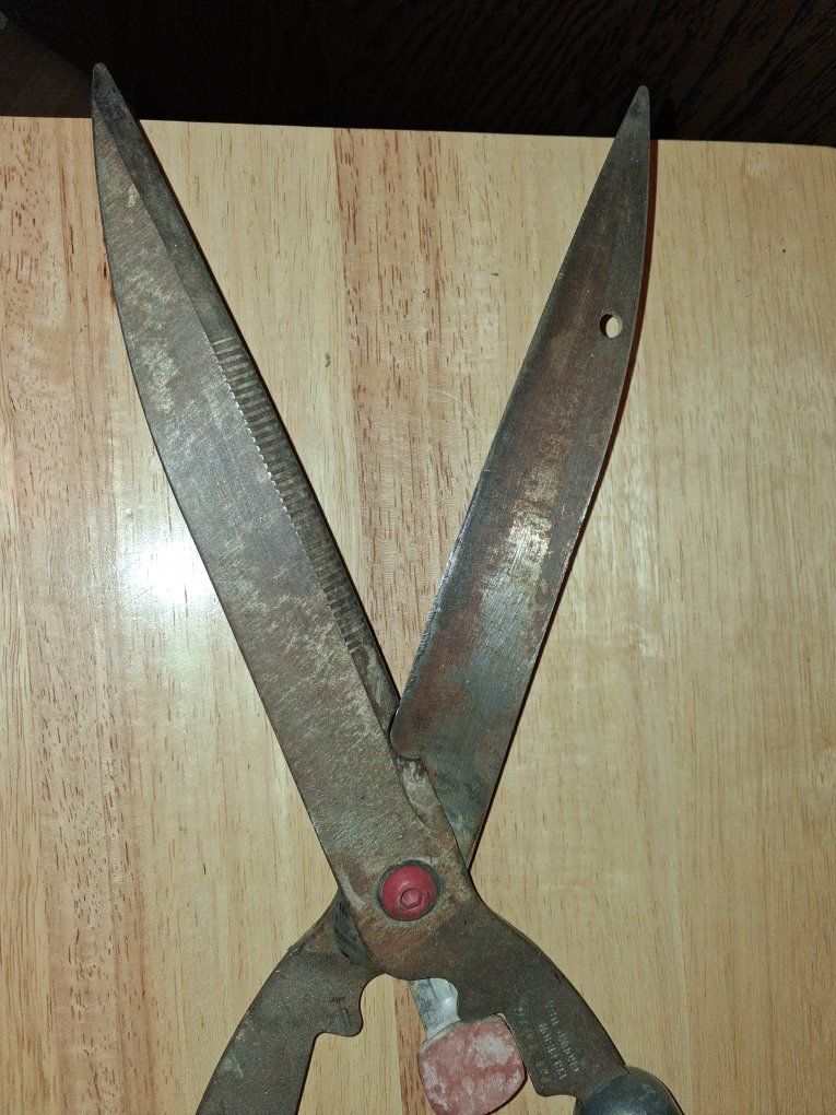 Main image 2