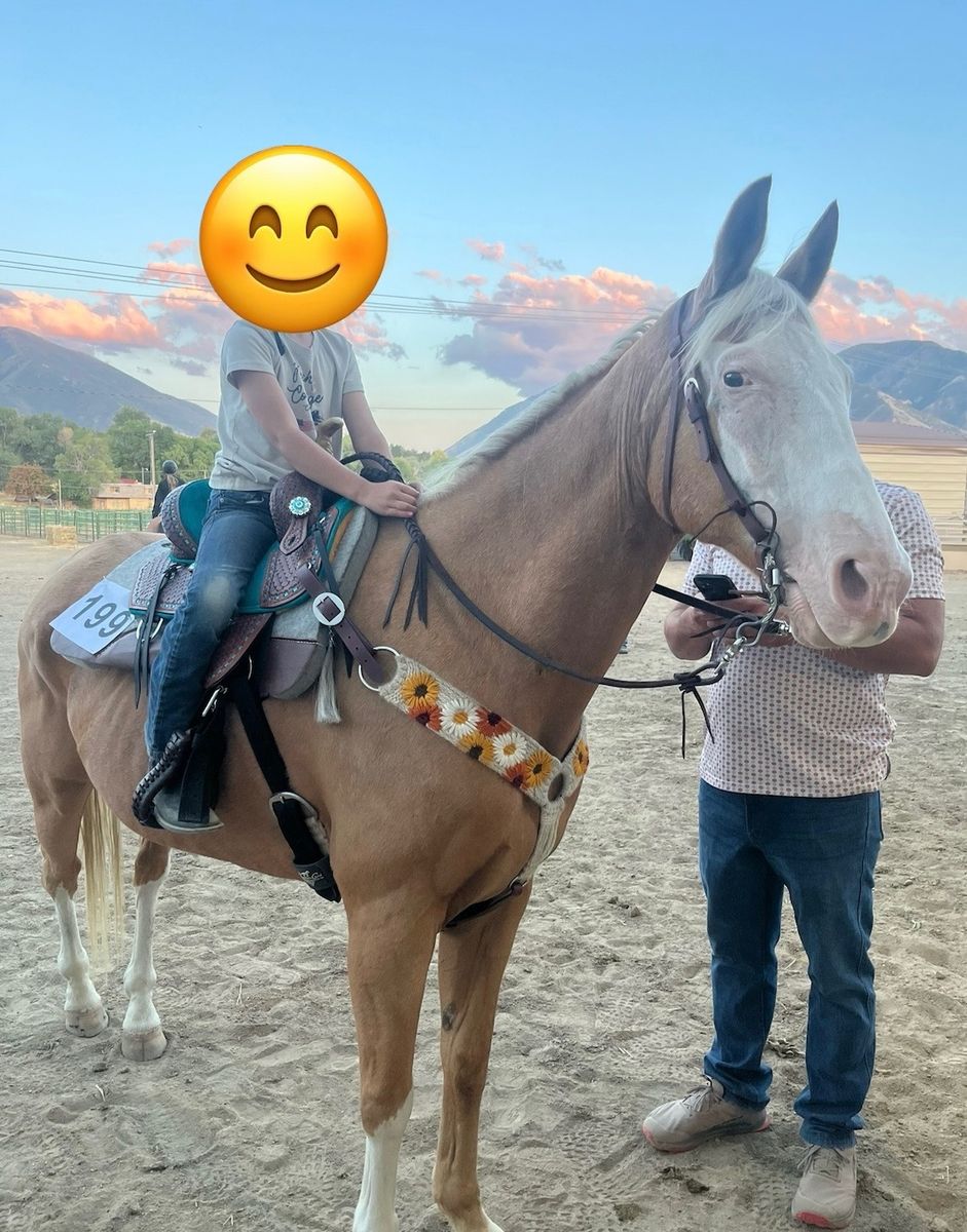 Palomino Barrel Gelding