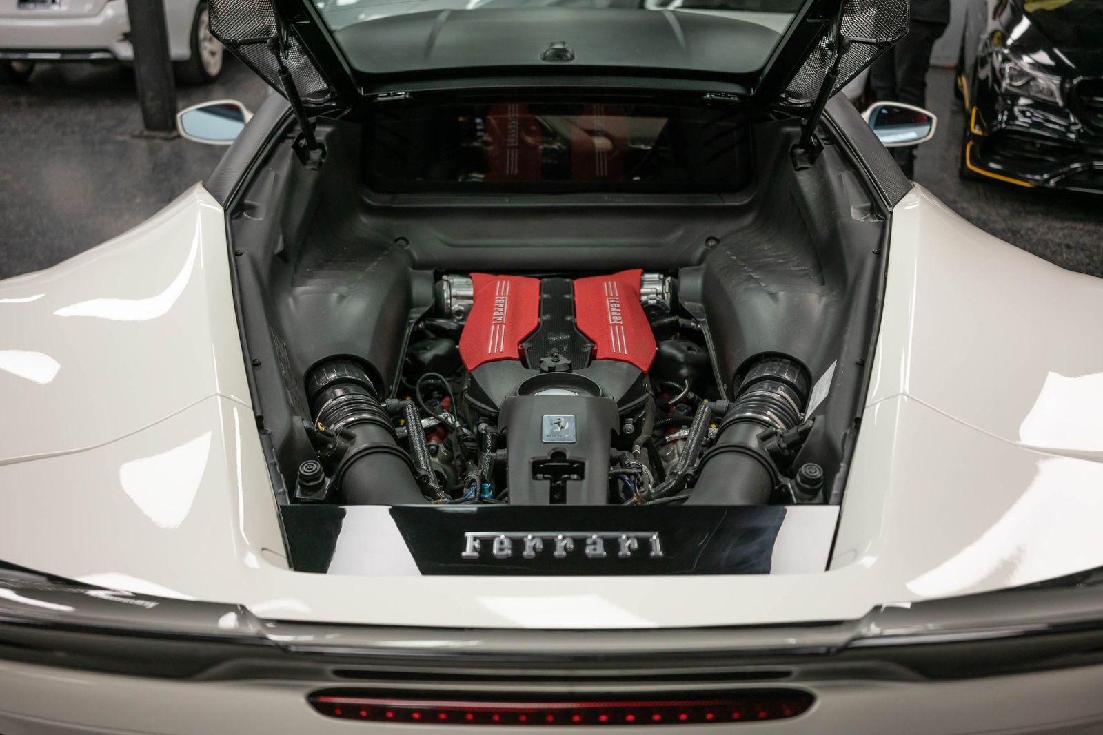 Main image 6